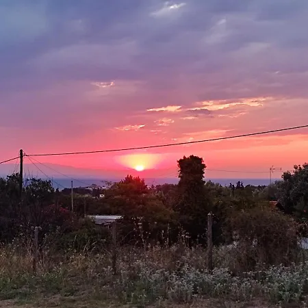 Georgia's Palioura
