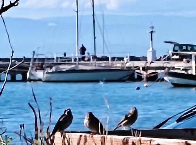 Georgia's