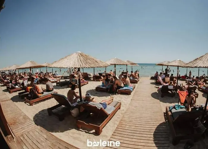 Georgia's * Palioura
